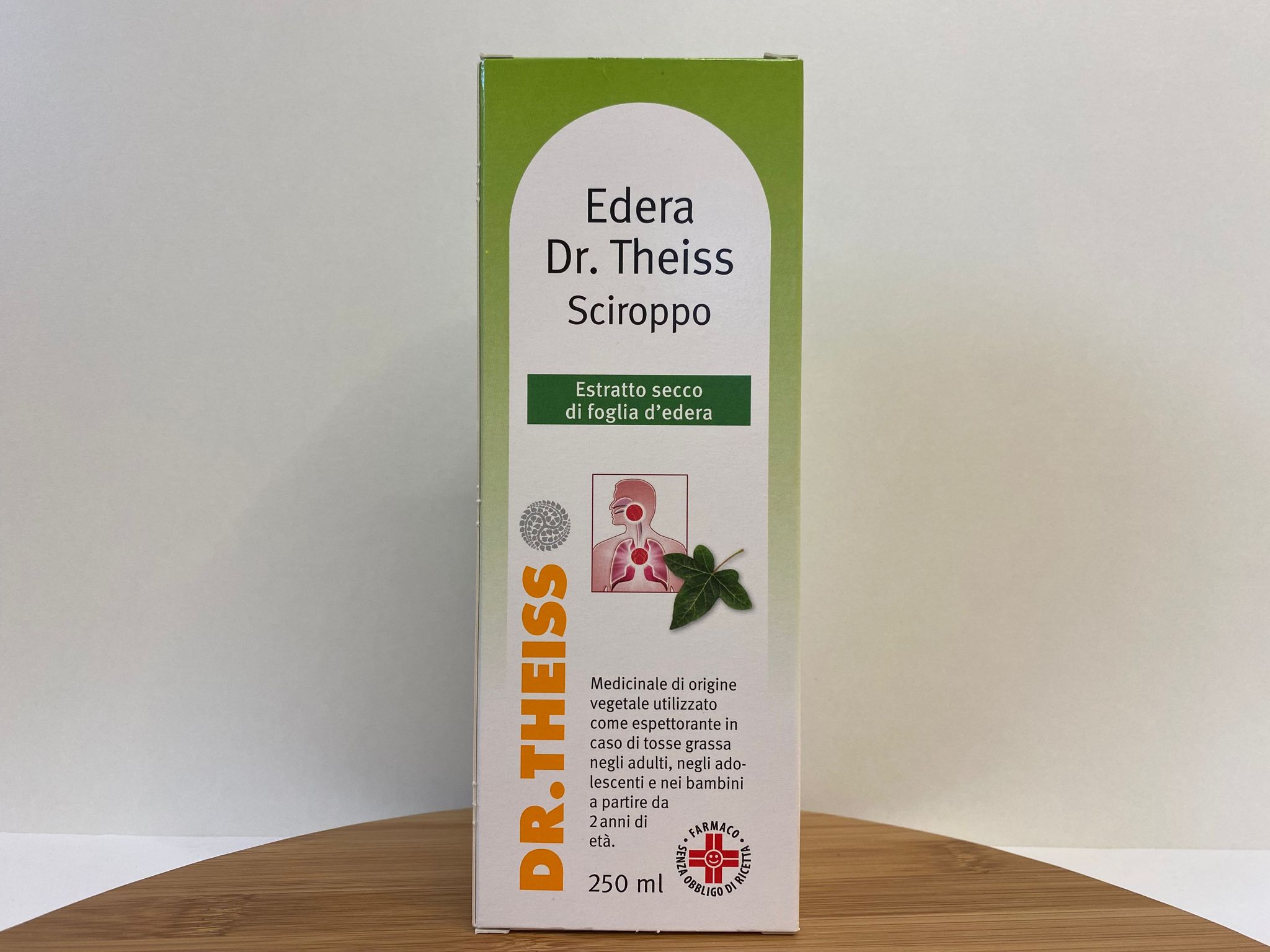 efeutute an decke befestigen Eifrige Efeututen – Green Me Up
