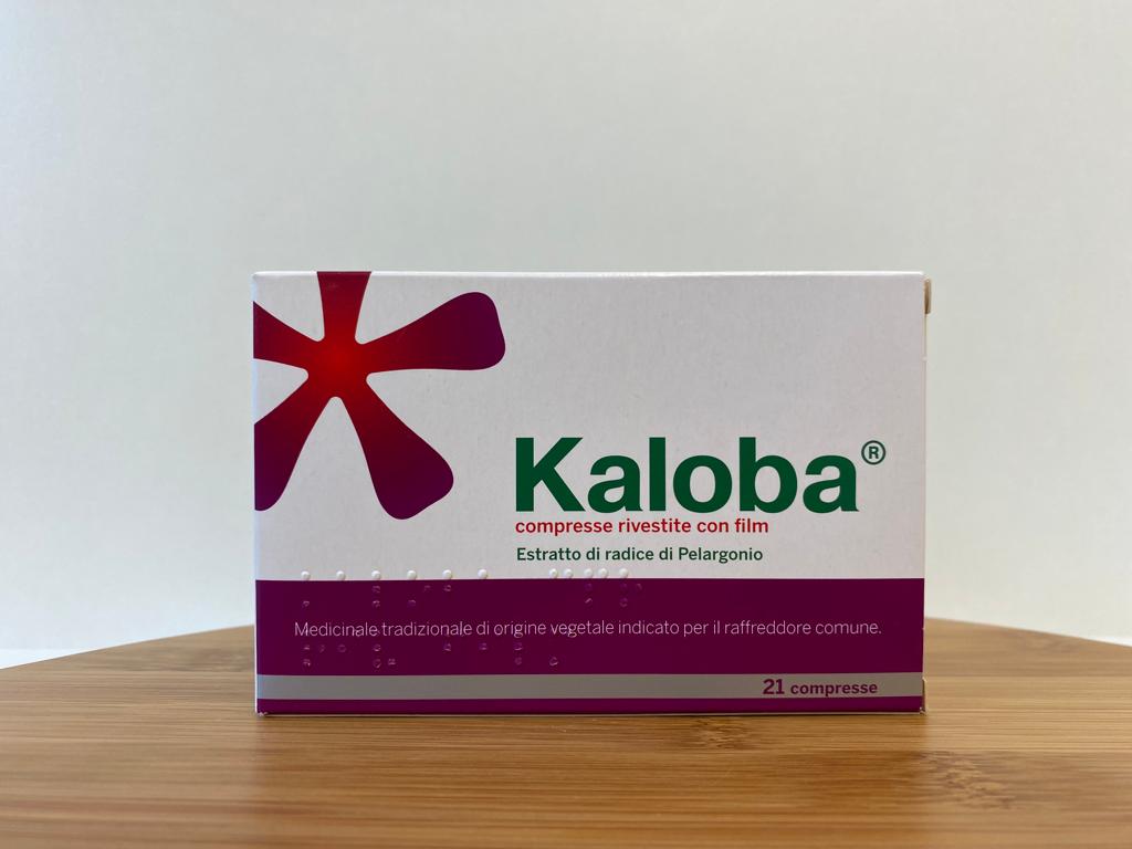 Schwabe: Kaloba Tabletten